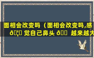 面相会改变吗（面相会改变吗,感 🦄 觉自己鼻头 🐠 越来越大）